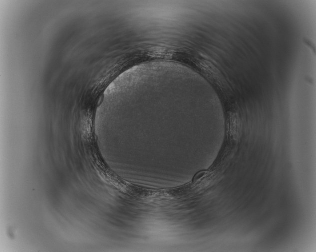 X0000101971154200808081545