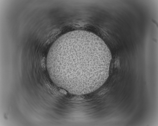 X0000101971156200808081545