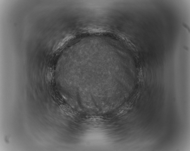 X0000101971157200808081544