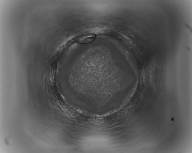 X0000101971158200808081544