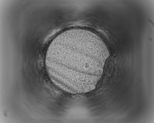 X0000101971159200808081544