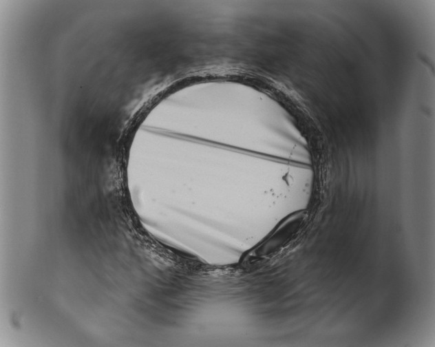 X0000101971160200808081544