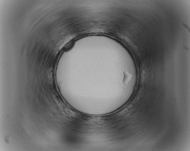 X0000101971162200808081544