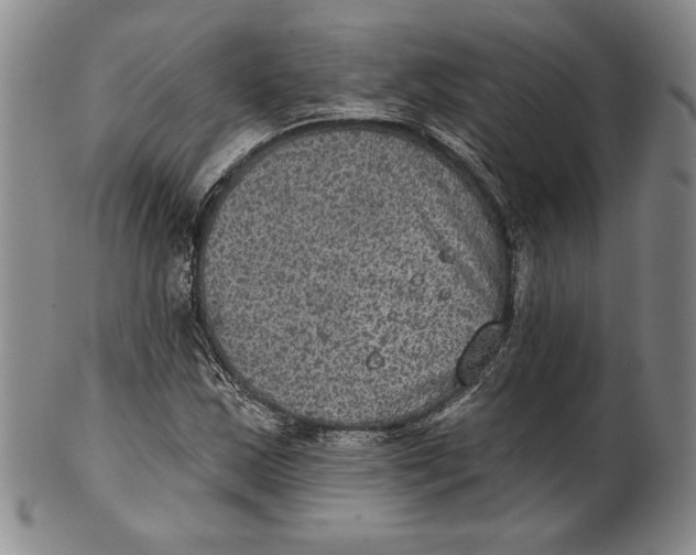 X0000101971163200808081544