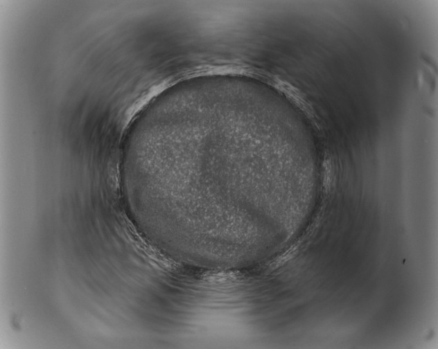 X0000101971165200808081544