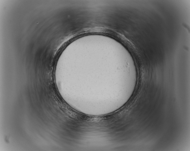 X0000101971166200808081544