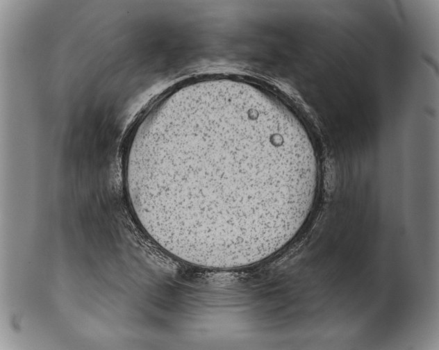 X0000101971167200808081544