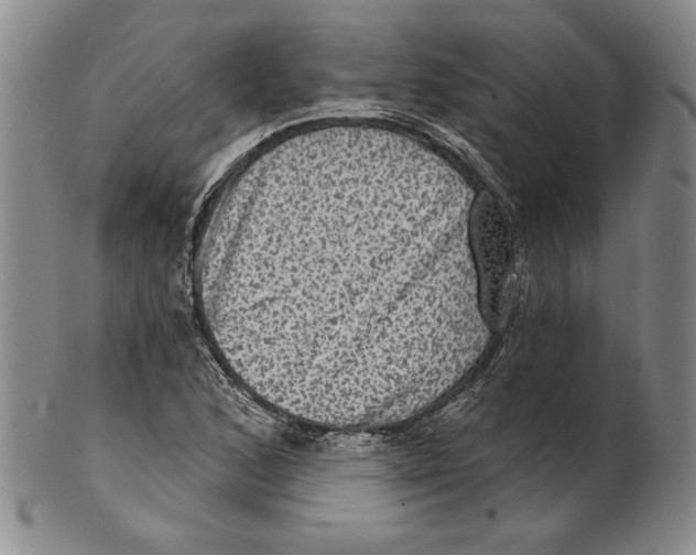 X0000101971168200808081544