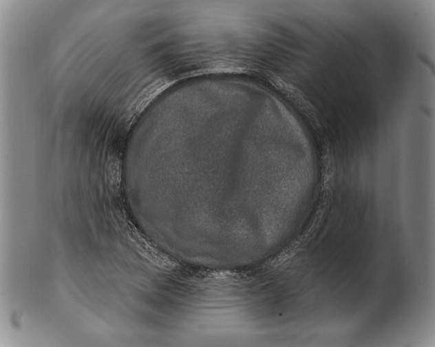 X0000101971169200808081544