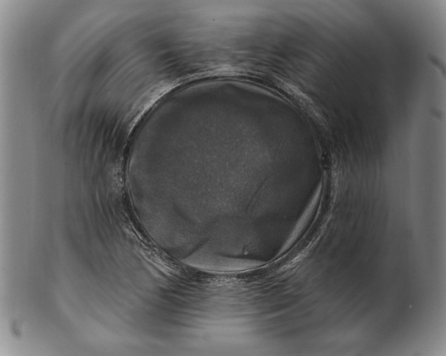 X0000101971170200808081544