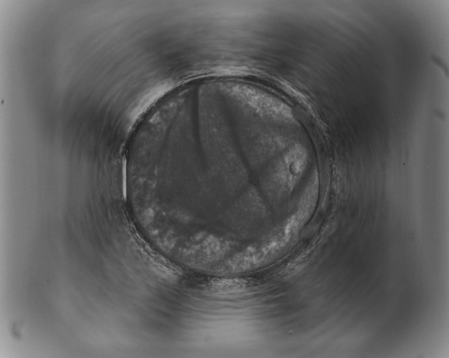 X0000101971171200808081544