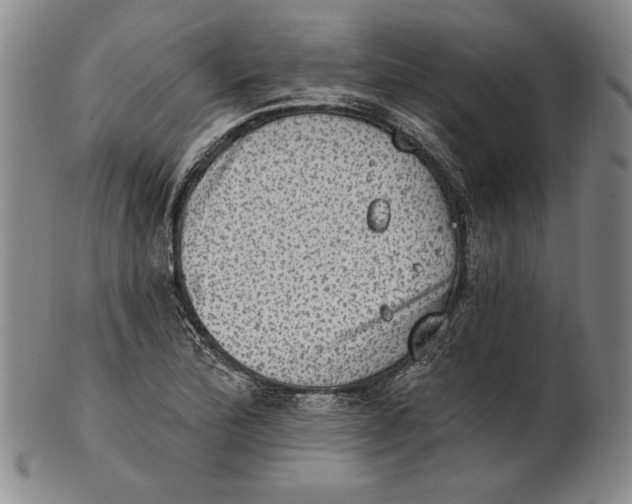 X0000101971172200808081544