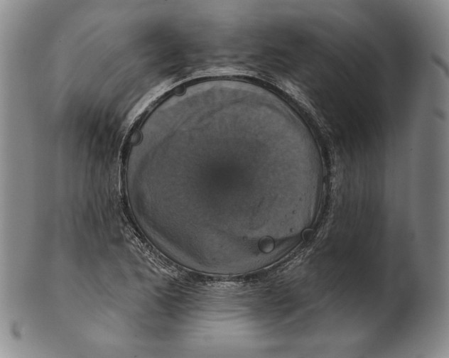 X0000101971173200808081544