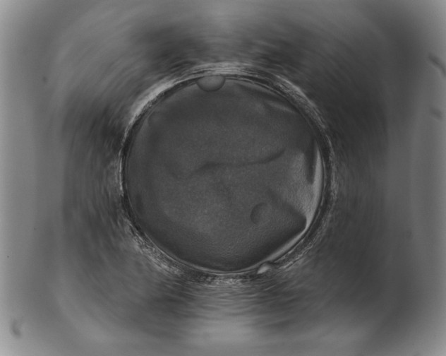 X0000101971174200808081544