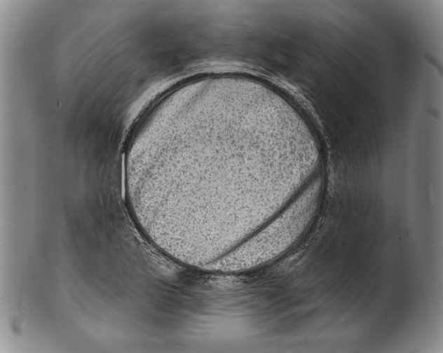 X0000101971175200808081544