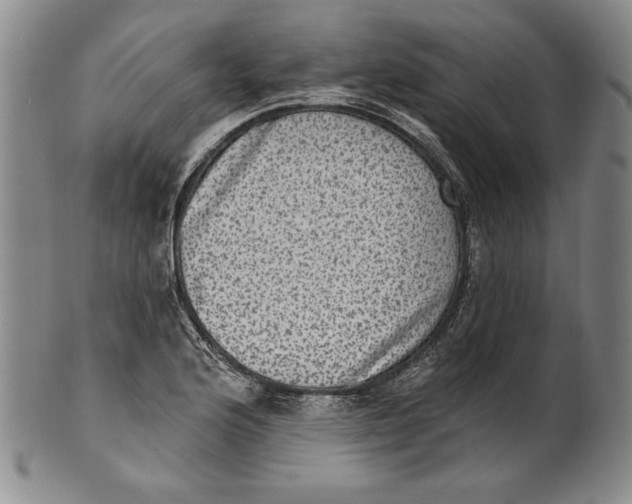 X0000101971176200808081544