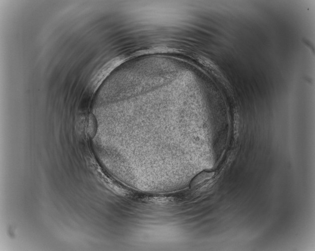 X0000101971177200808081544