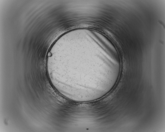 X0000101971178200808081544