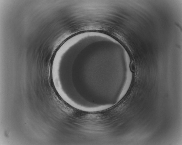 X0000101971179200808081544