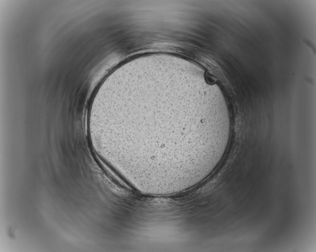 X0000101971180200808081544