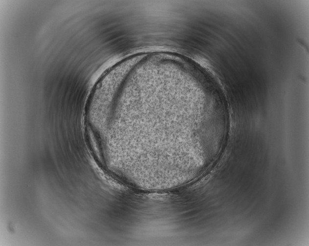 X0000101971181200808081544