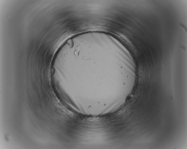 X0000101971182200808081544