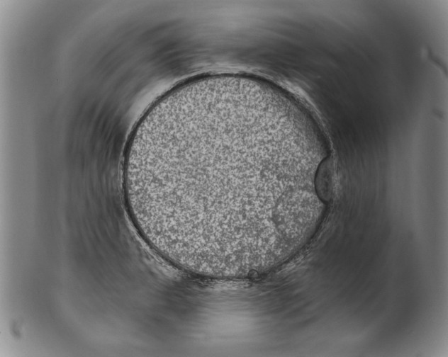 X0000101971183200808081544