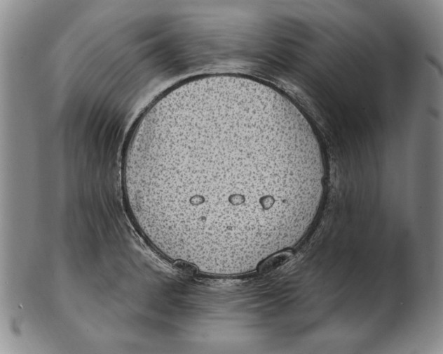 X0000101971184200808081544