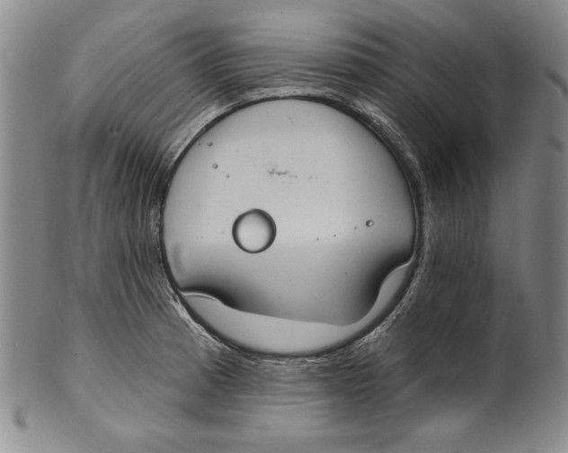 X0000101971185200808081544