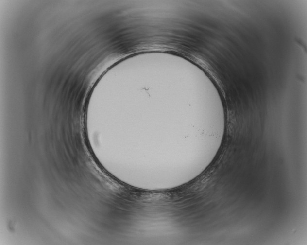 X0000101971187200808081544