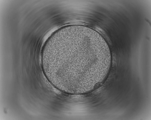 X0000101971188200808081544