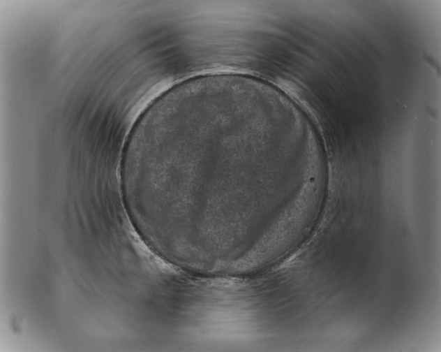 X0000101971189200808081544