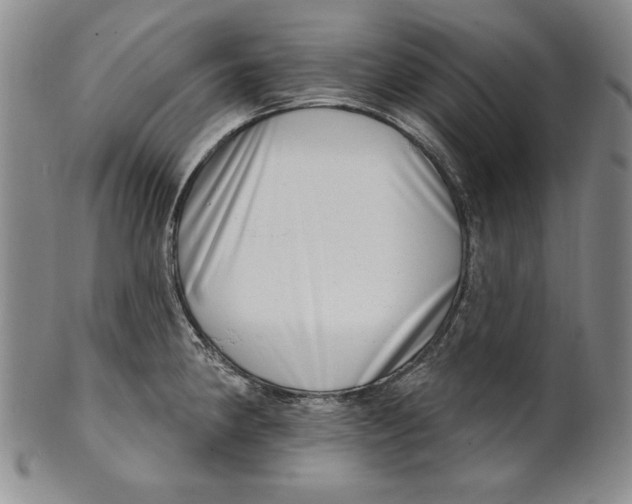 X0000101971190200808081544