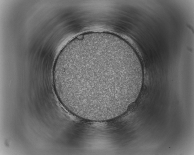 X0000101971191200808081544