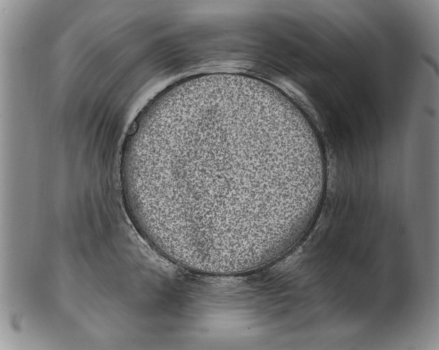 X0000101971192200808081544