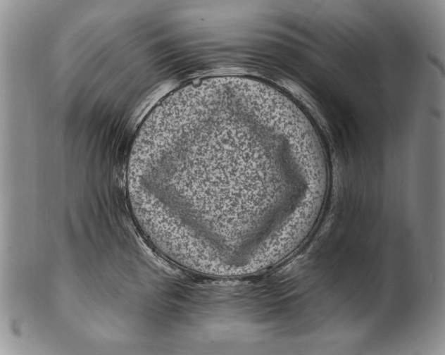 X0000101971193200808081544