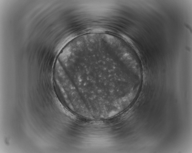 X0000101971194200808081544