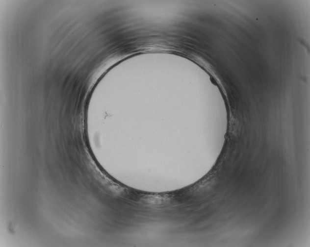 X0000101971195200808081544