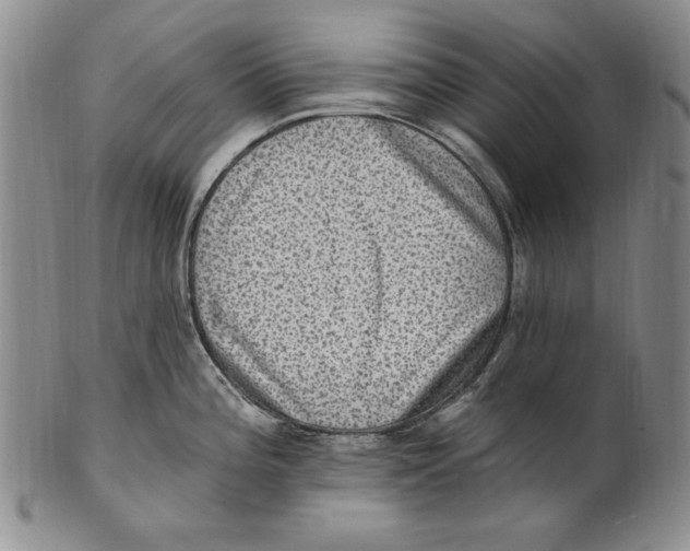 X0000101971196200808081544