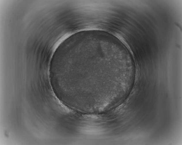 X0000101971197200808081544