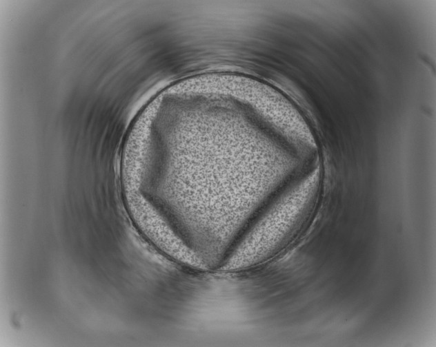 X0000101971198200808081544