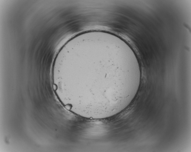 X0000101971199200808081544