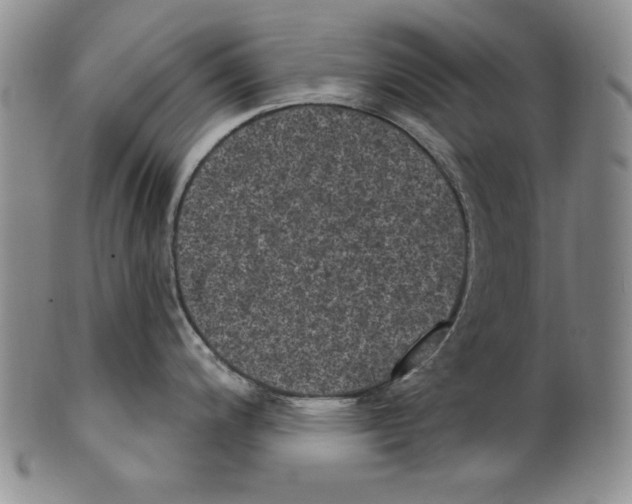 X0000101971200200808081544