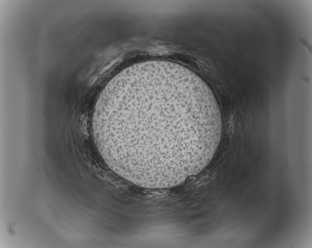 X0000101971205200808081543