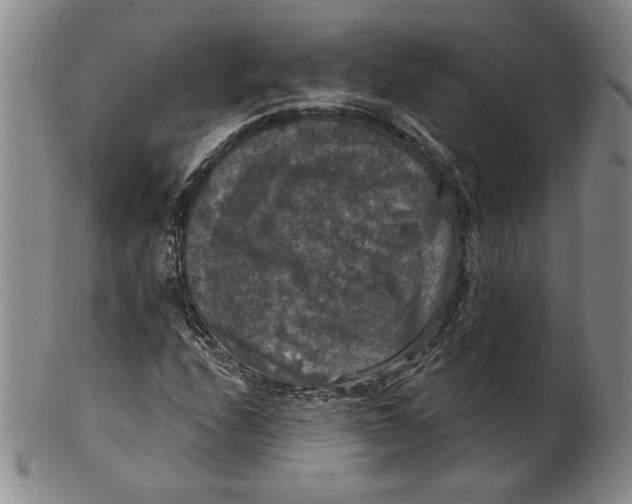 X0000101971208200808081543