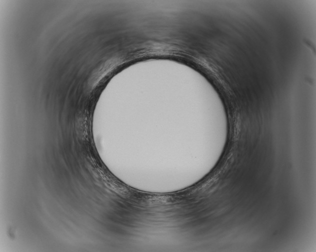 X0000101971211200808081543