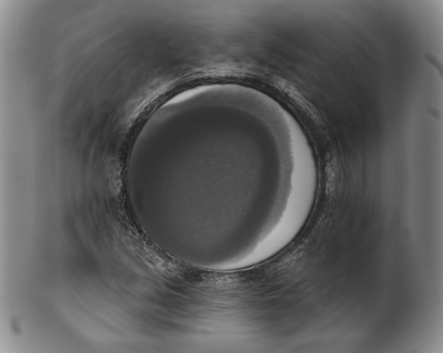 X0000101971213200808081543