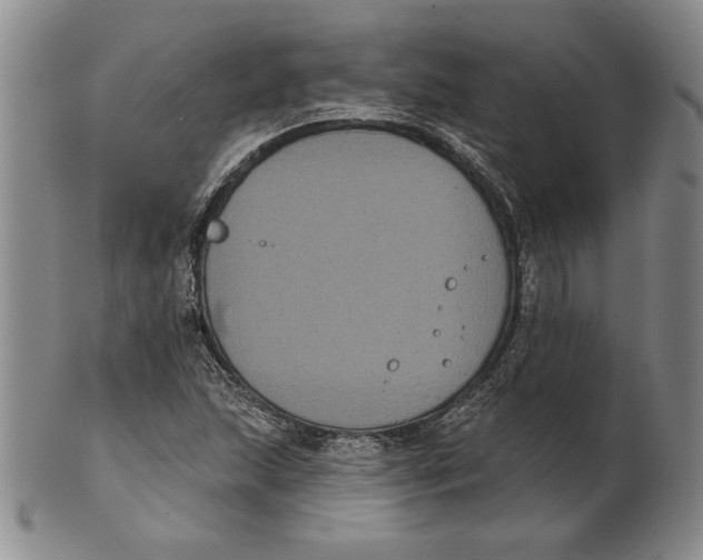 X0000101971215200808081543