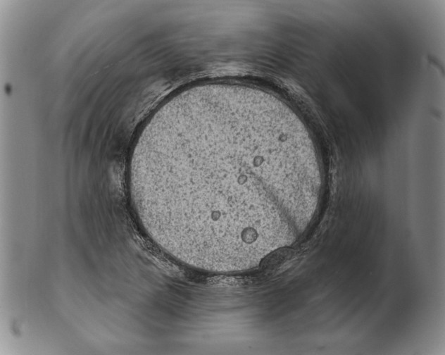 X0000101971217200808081543