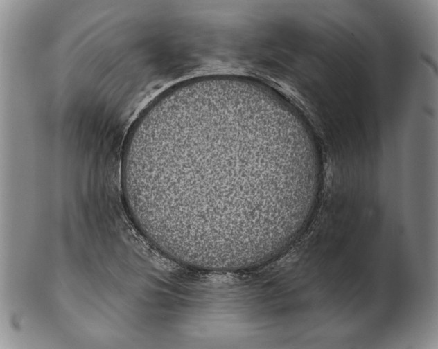 X0000101971220200808081543